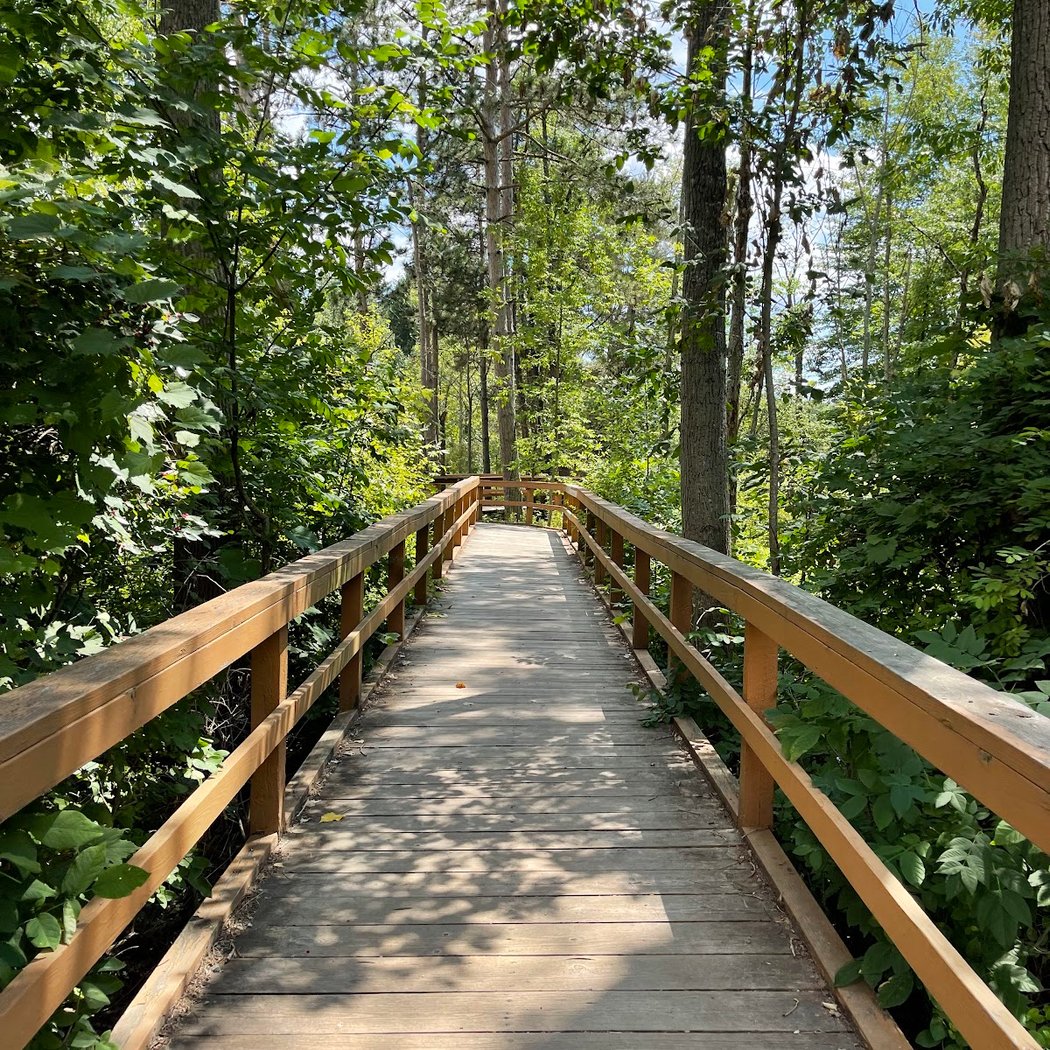 Reinstein Woods Nature Preserve 2