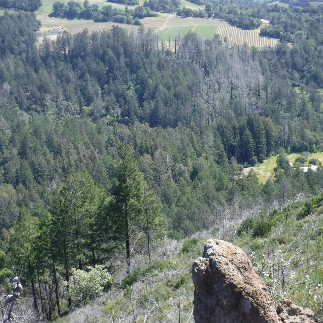 Maggie’s Peak 3