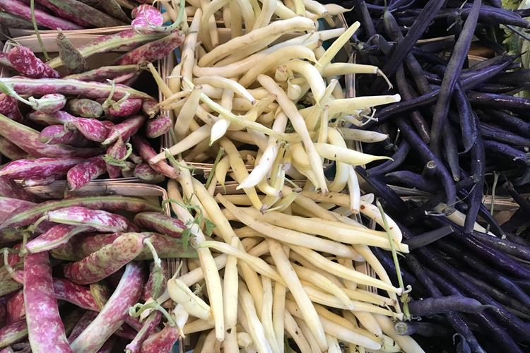 Ann Arbor Farmers Market 2