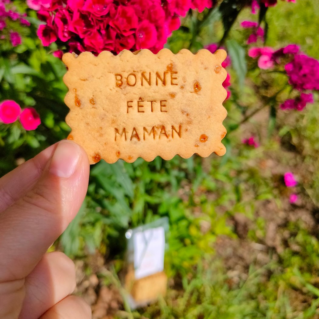 La boutique à croquer 1