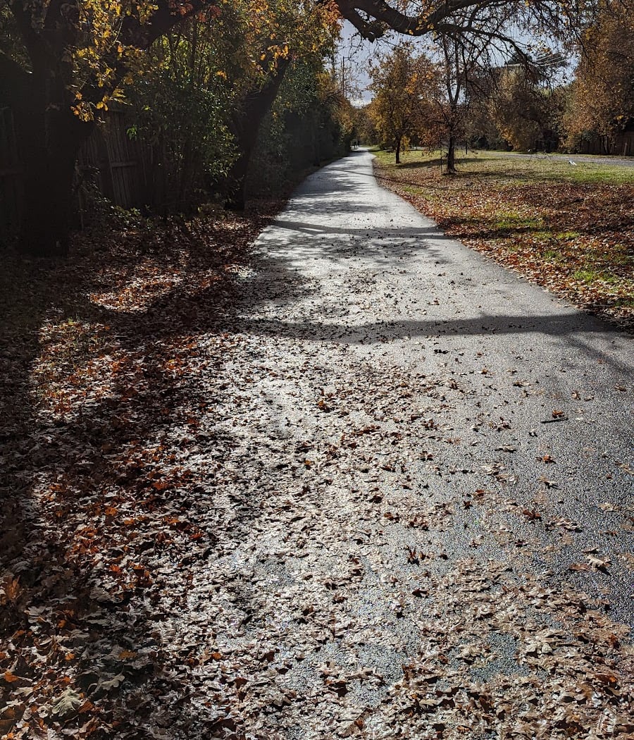 Iron Horse Regional Trail, Walnut Creek 1