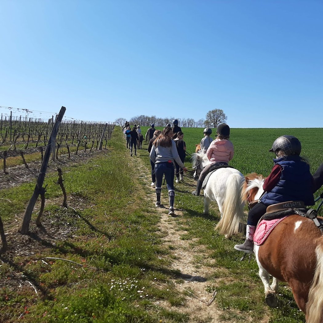 Un Poney Une Histoire 2