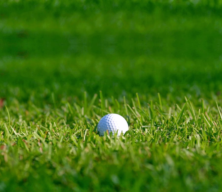 Willowbrook Golf Center 2