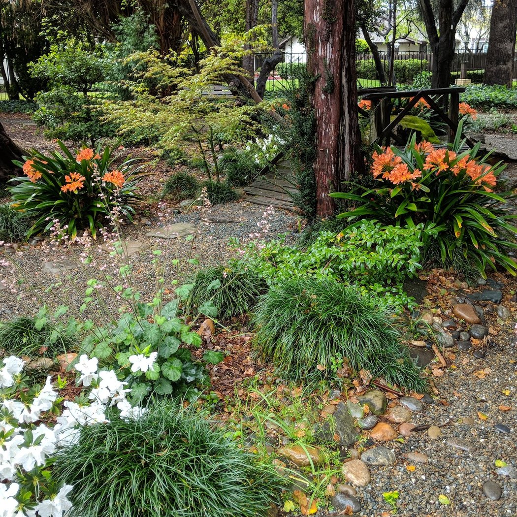 Events 1