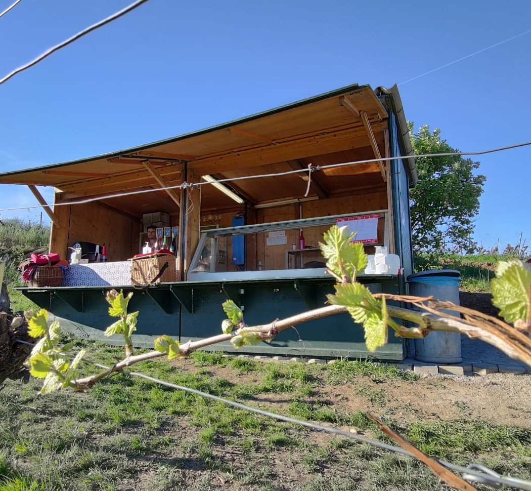 CEVAPI IM WEINGARTEN 1