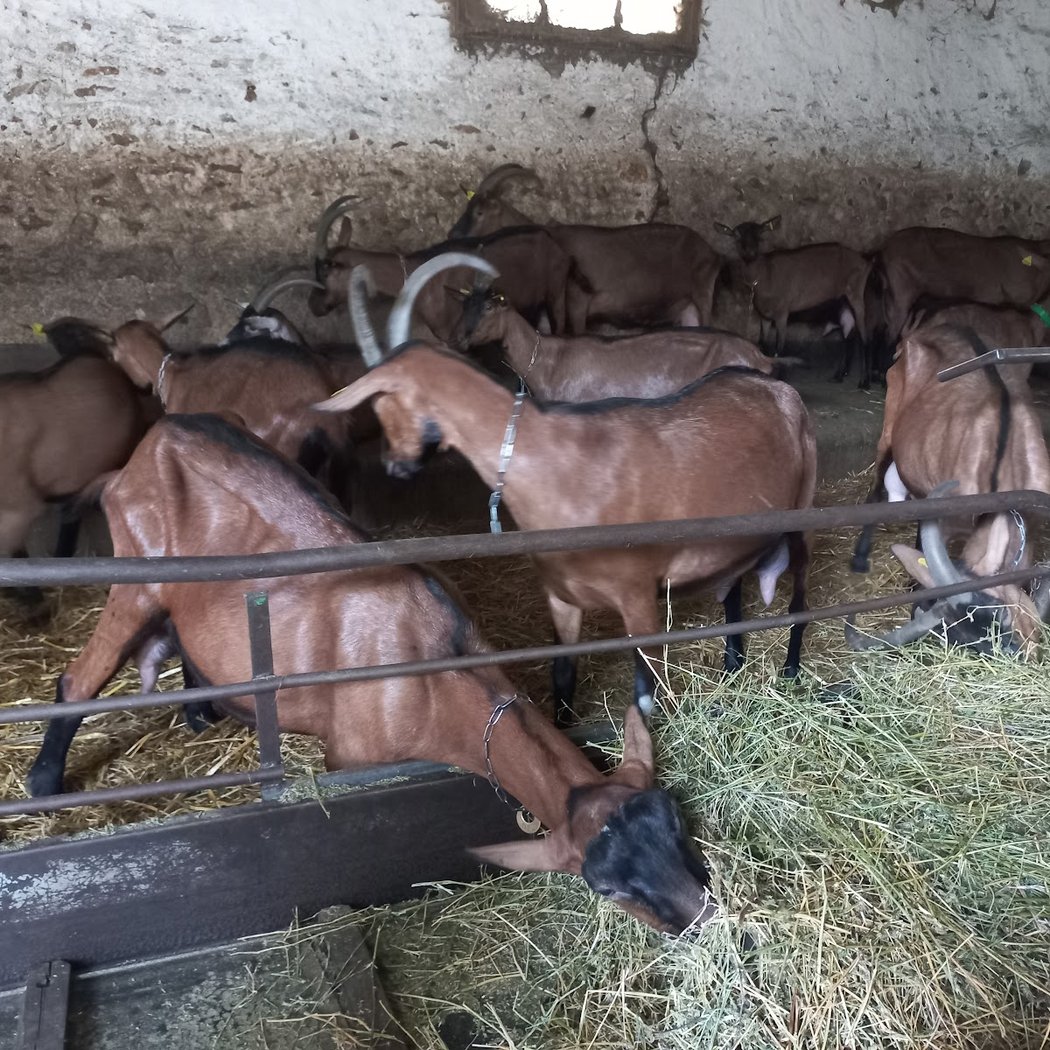 The farm Chauvry 2