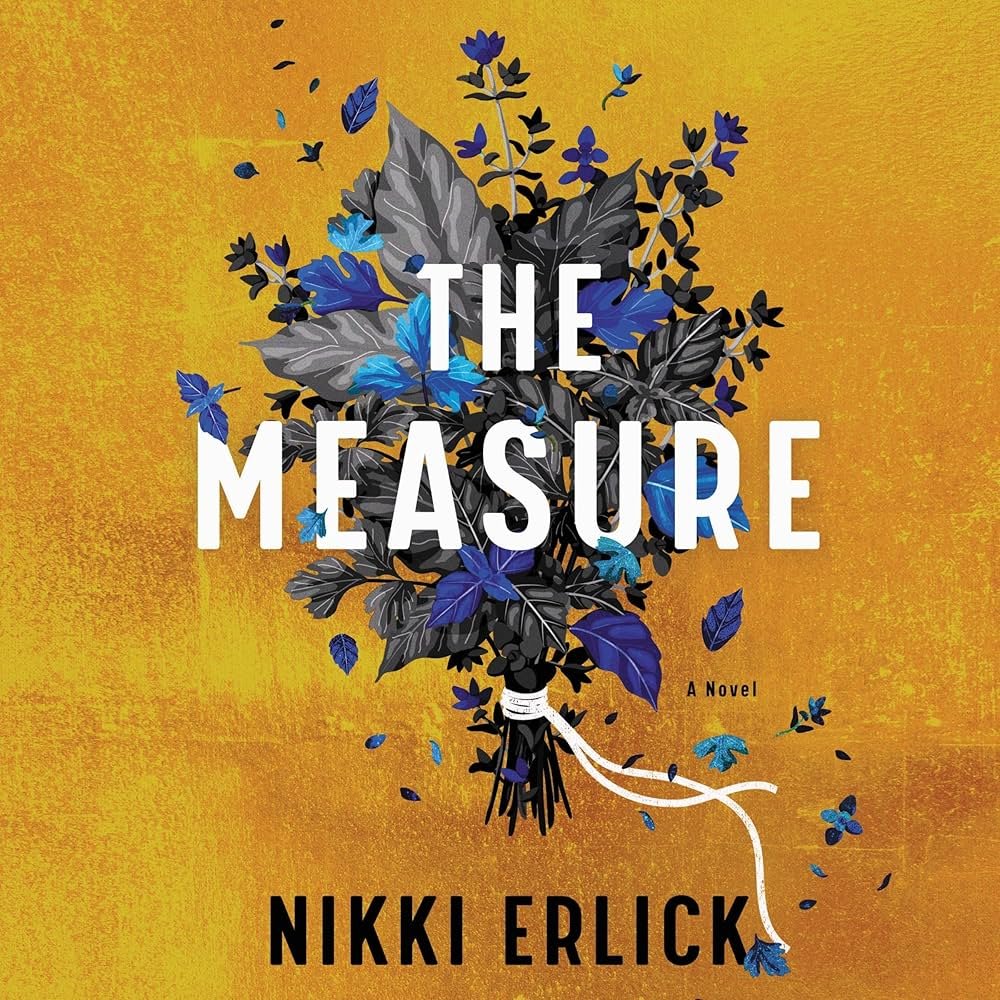 Alibi Bookshop January Book Club: "The Measure" by Nikki Erlick 1