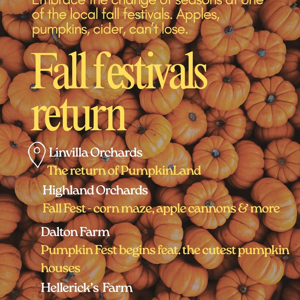 PumpkinLand 3