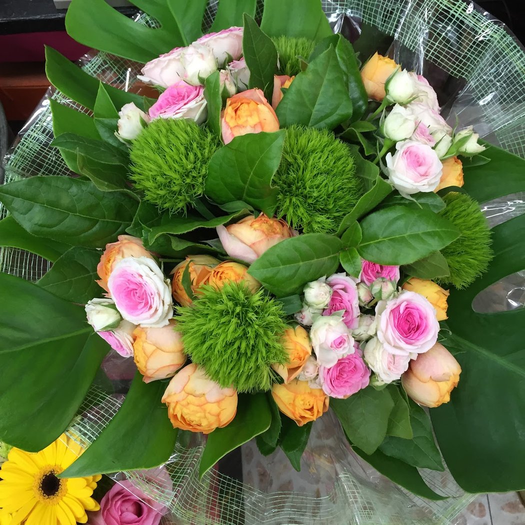 Nicolas Fleurs 3