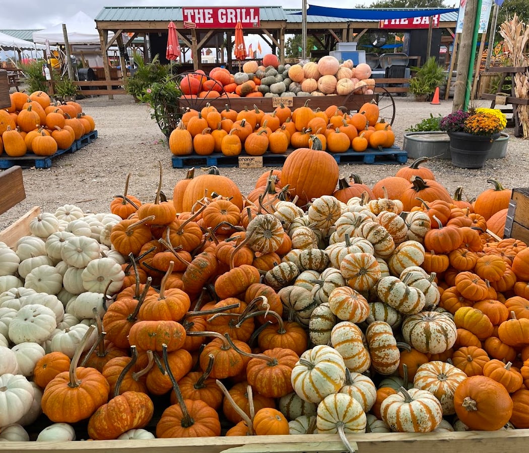 Windy Acres Fall Fest
