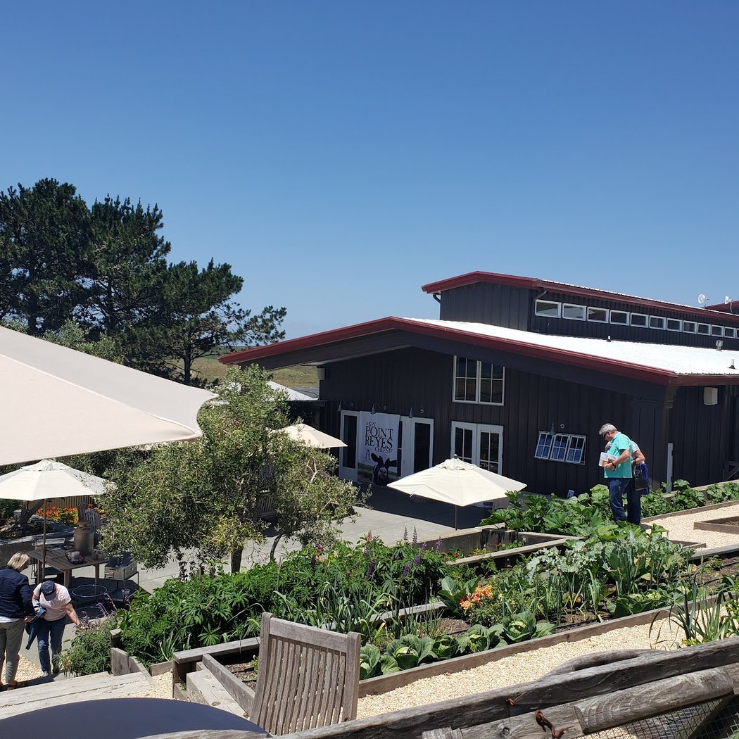 Marin Cheese Festival 2