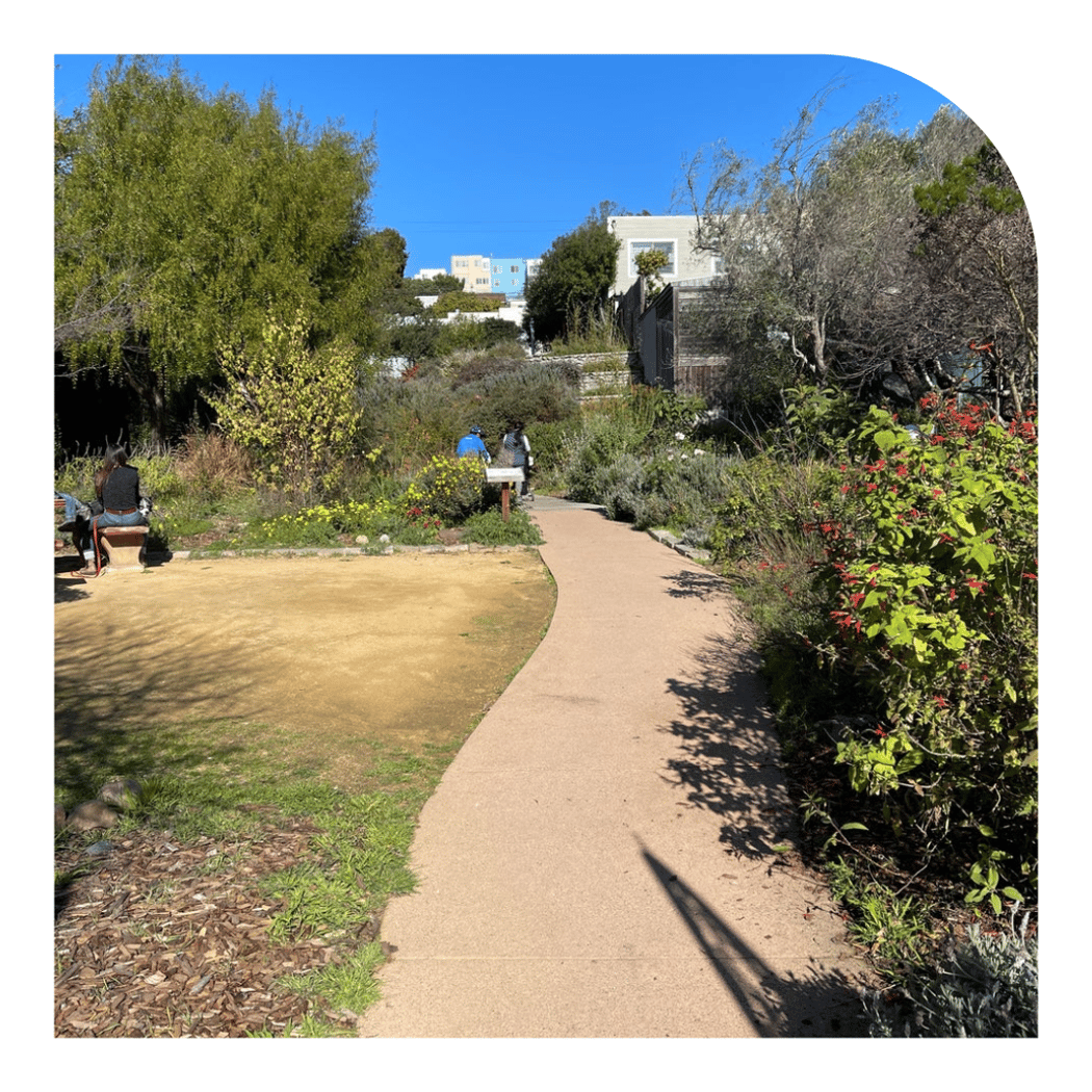 Intersection of the Crosstown Trails 3