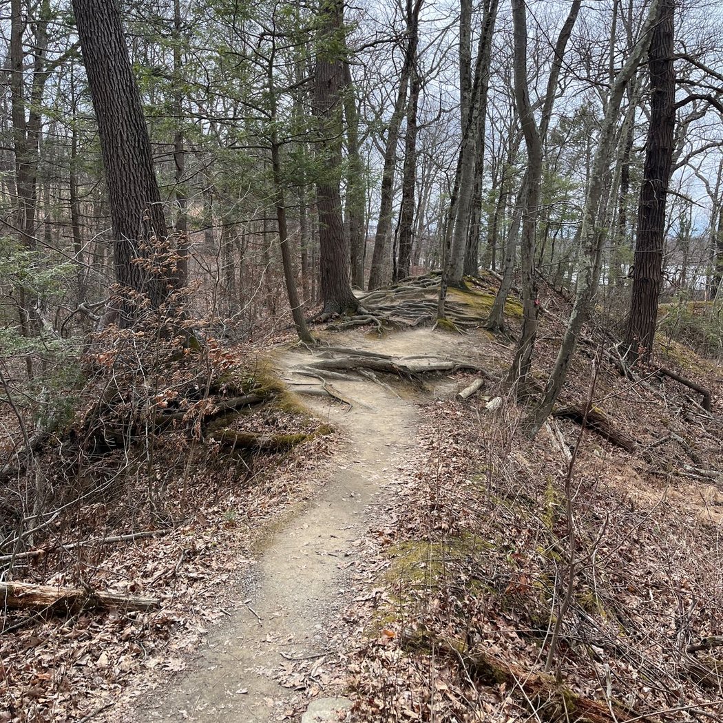 Poets' Walk Park 3