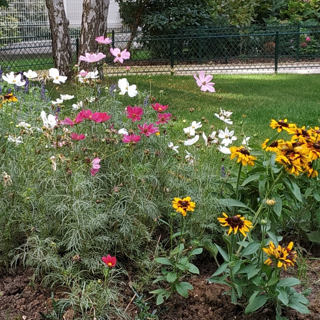 Jardin des Deux-Moulins 4