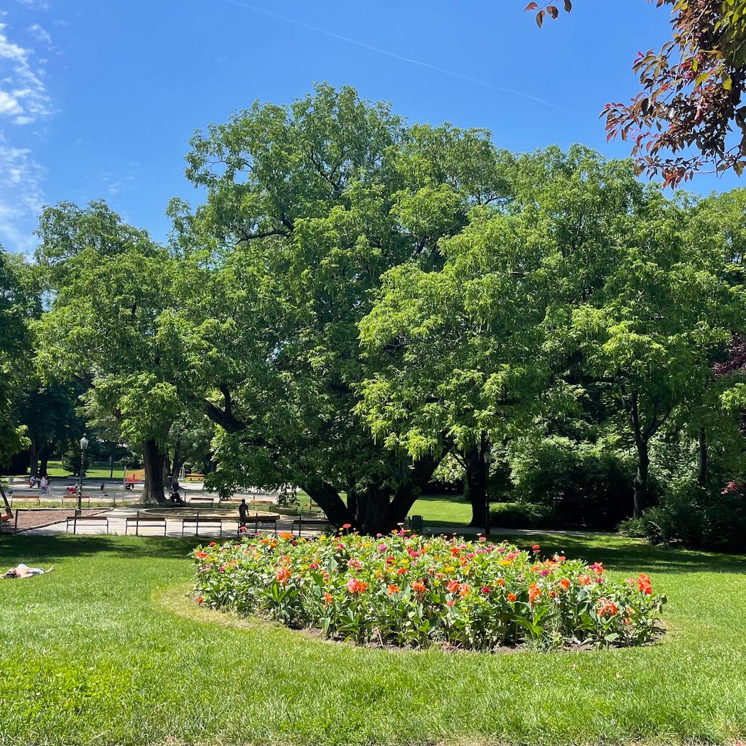 Parkgeschichten Waldmüllerpark 2