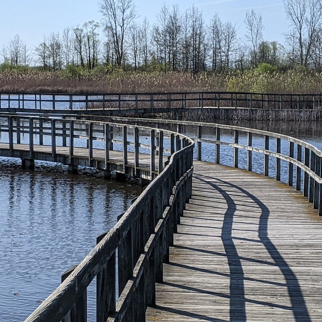 Waterway cleanup and canoe day 2