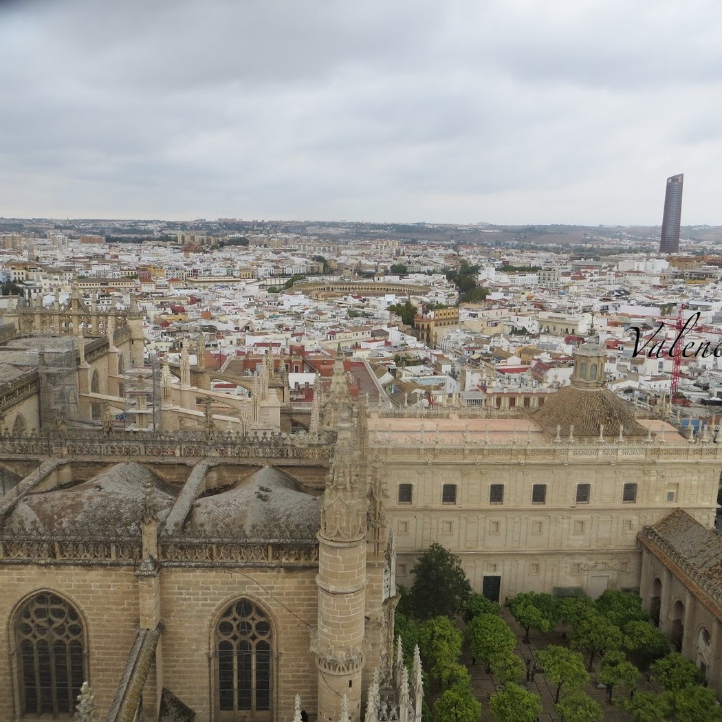 Mirador de la Giralda 2