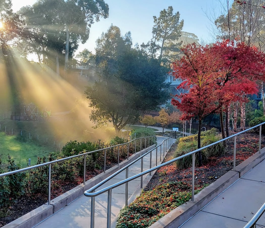 Davey Glen Park 1
