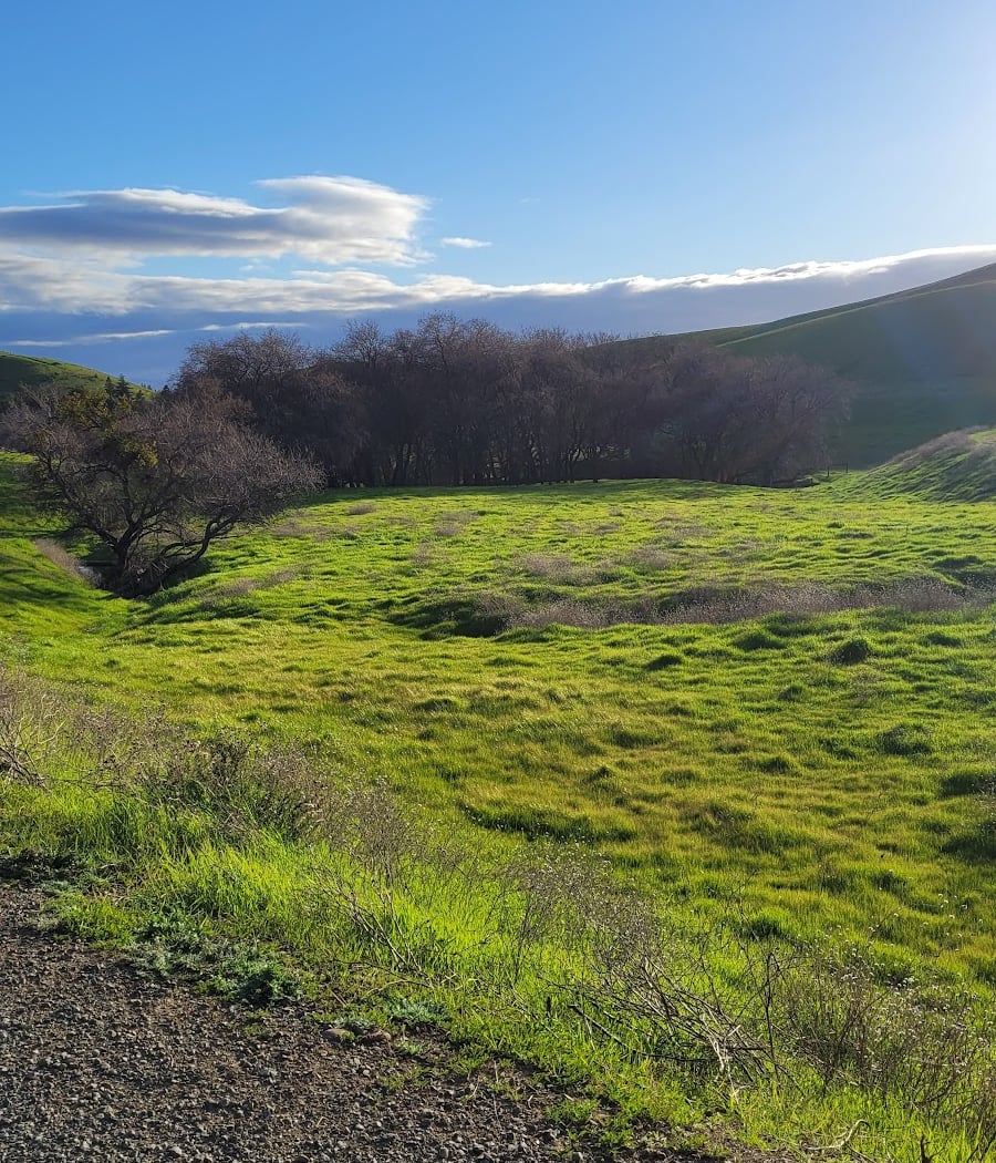 Serpas Ranch Open Space Trailhead 2