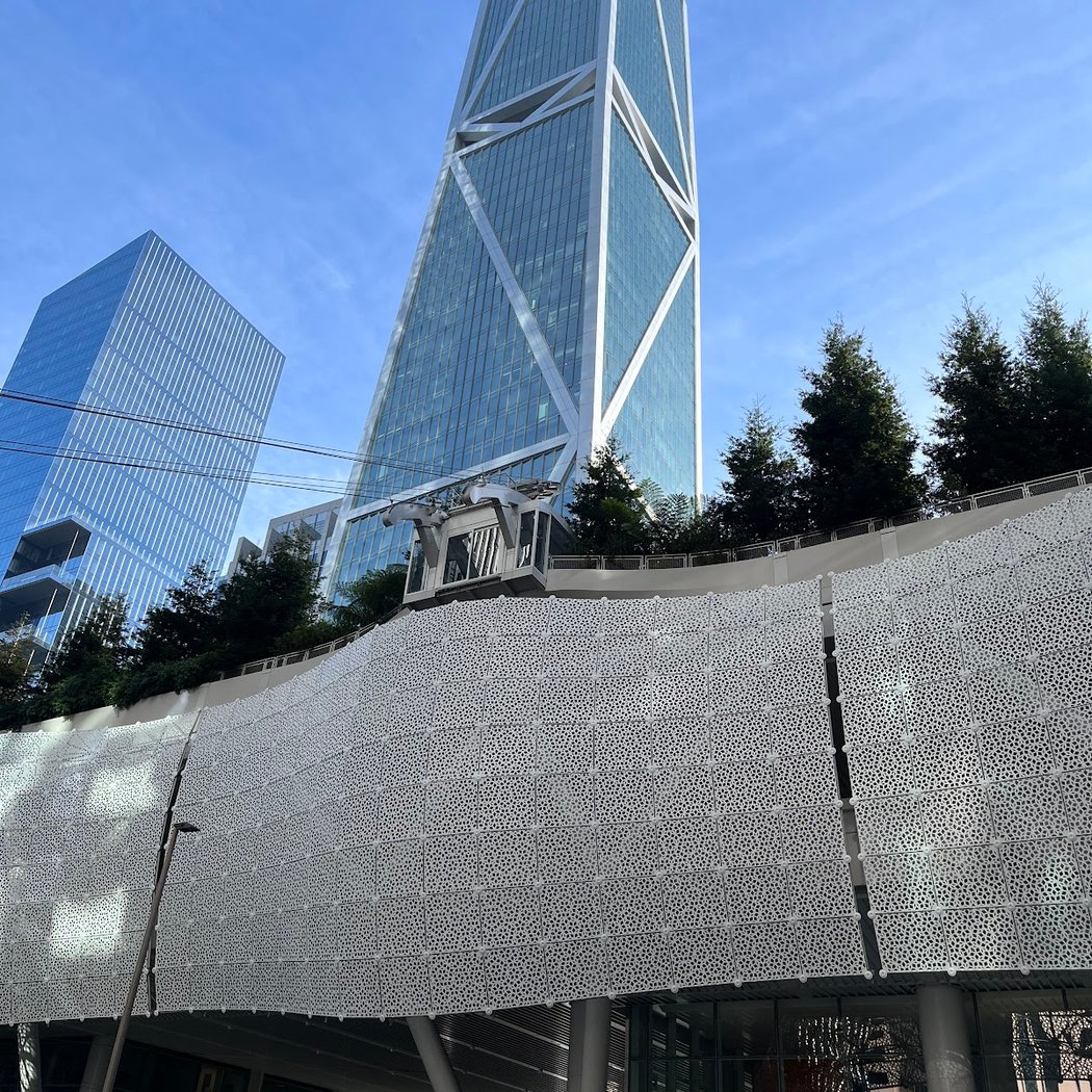 Gardens in the Sky: Salesforce Transit Center and Rooftop Park Tour 2