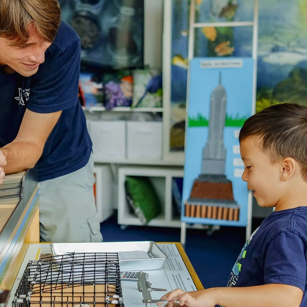 Open Hours at the Environmental Education Center 2