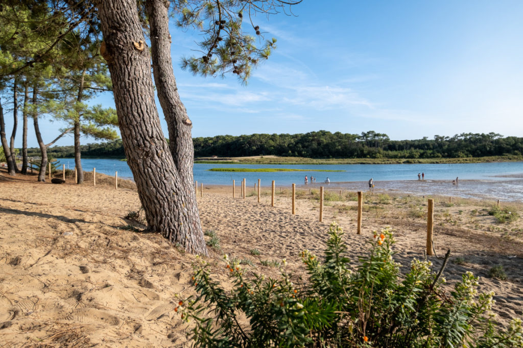 Estuaire du Payré en Vendée 1
