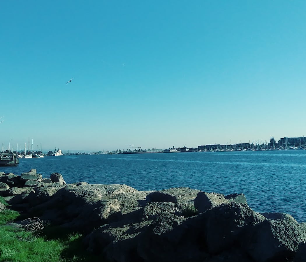 Estuary Park 2