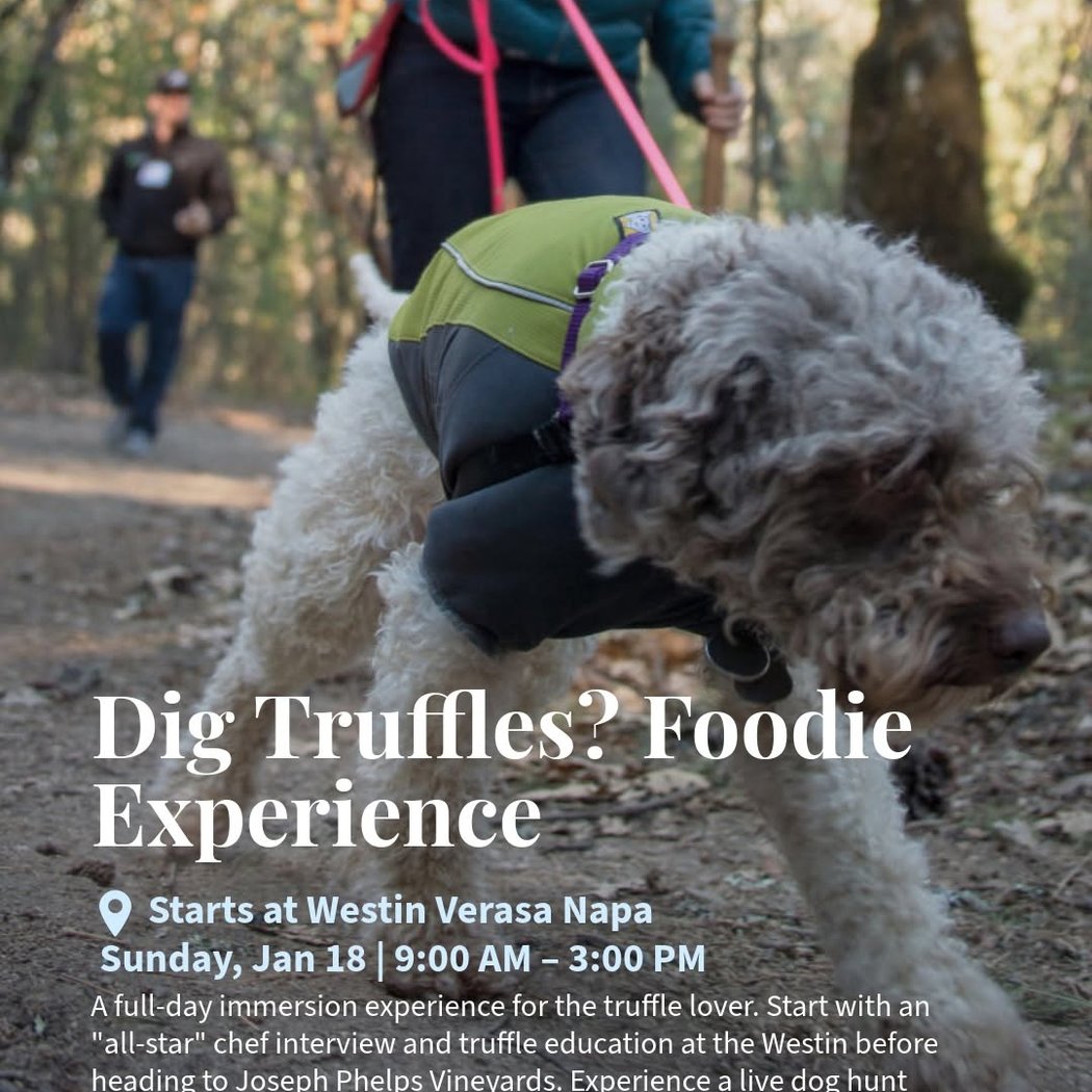 Napa Valley Truffle Festival 1