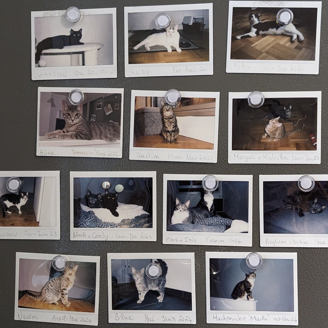 Histoires d'animaux pour petites et grandes oreilles 2