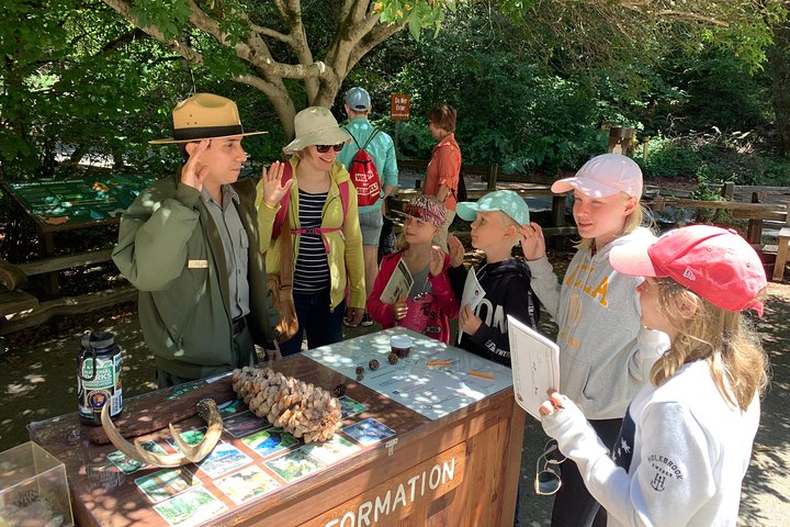Amazing Muir Woods and Sausalito Tour