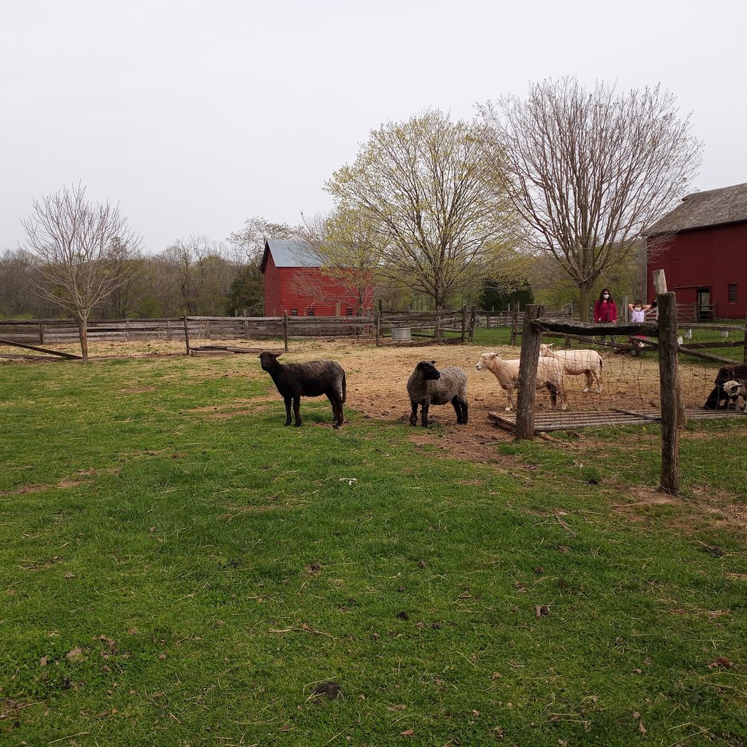 Howell Living History Farm 3