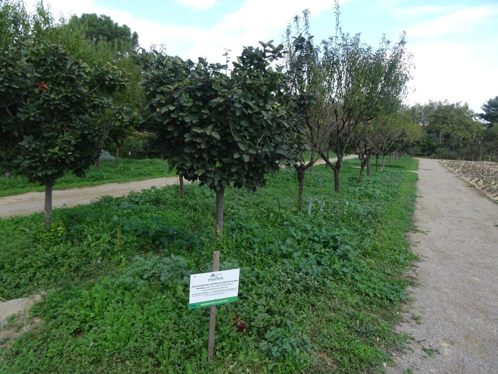 Parc de la Jarre 3