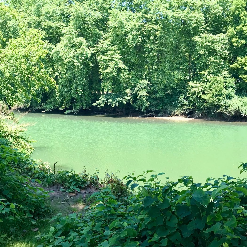 Voie verte de la Nive 5