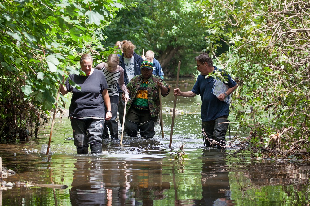 Gores Brook Revival 2