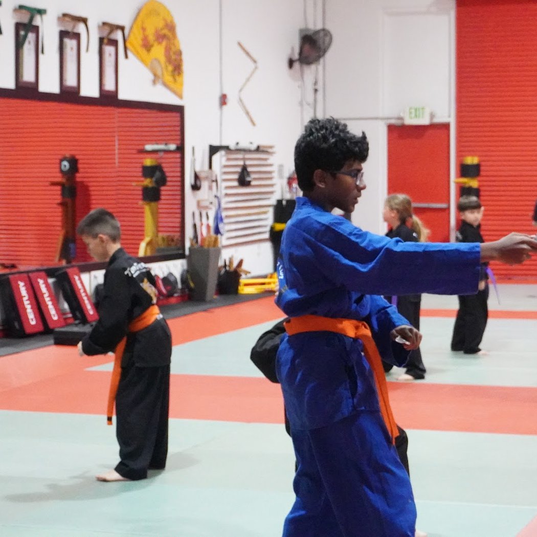 Twin Tigers Academy of Self Defense 3