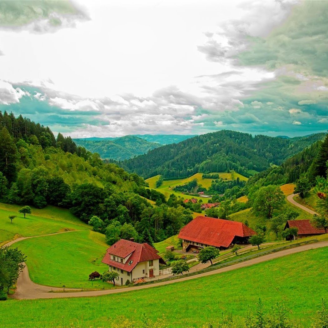 Black Forest Tours 1
