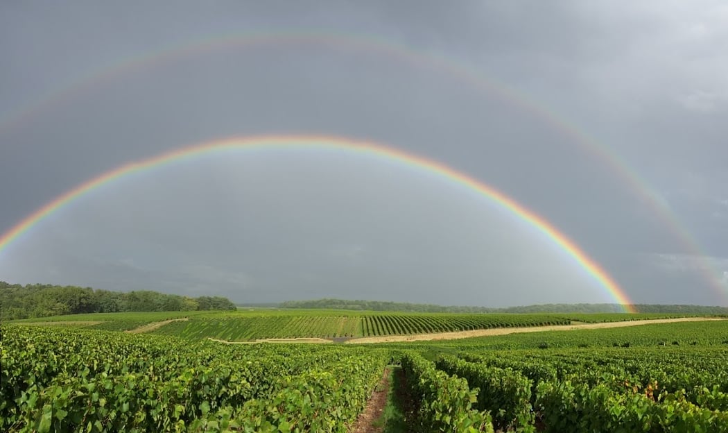 Rendez-Vous dans les Vignes 2