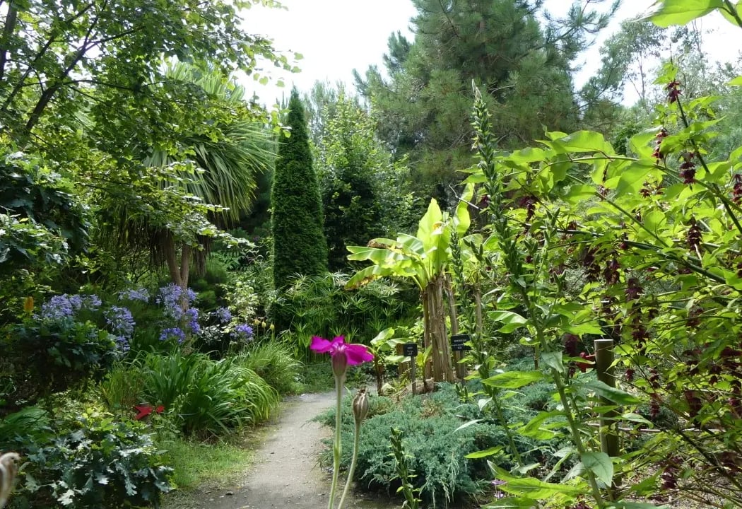 Tropicarium Bonsaï La Baule 2