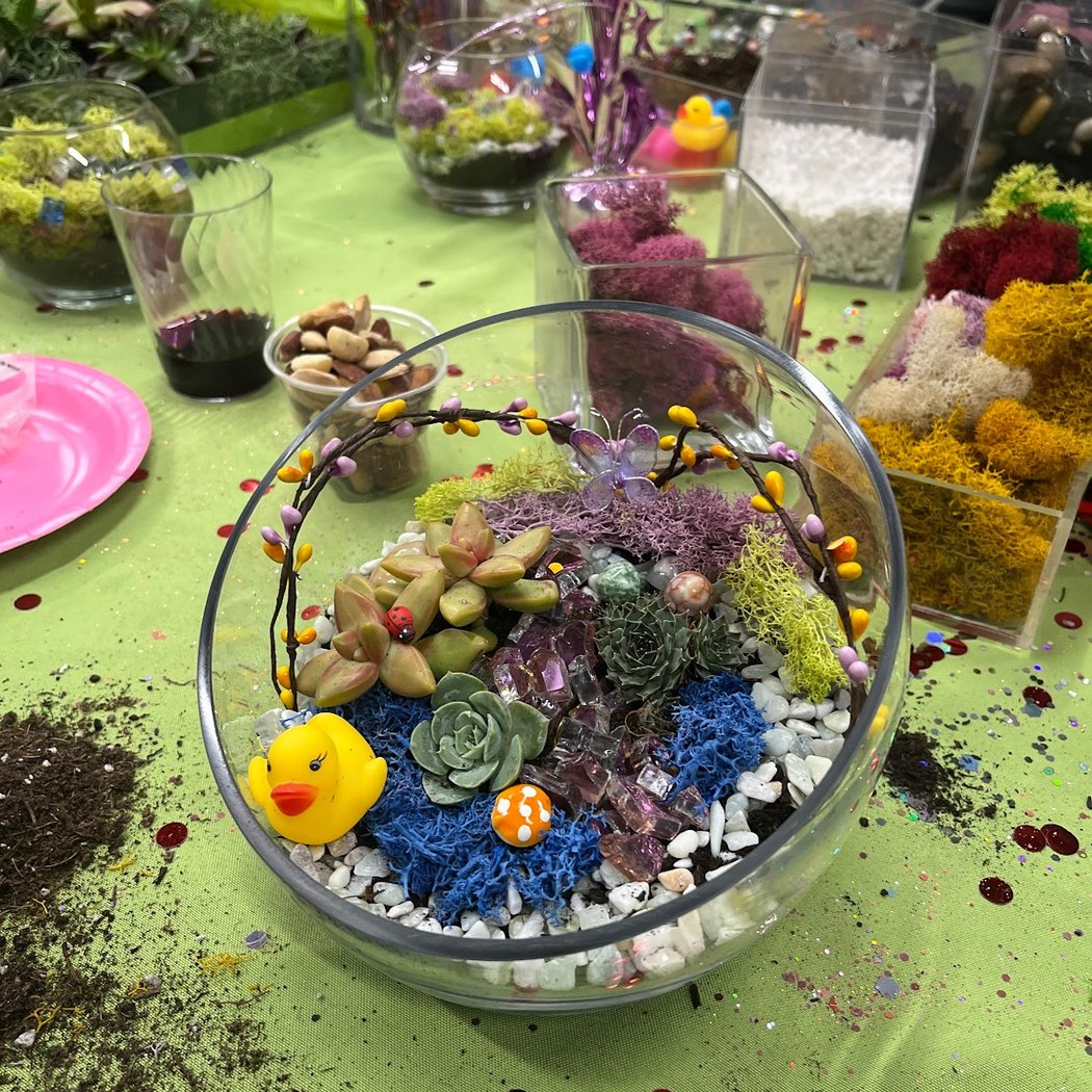 Open Glass Terrarium Class 5