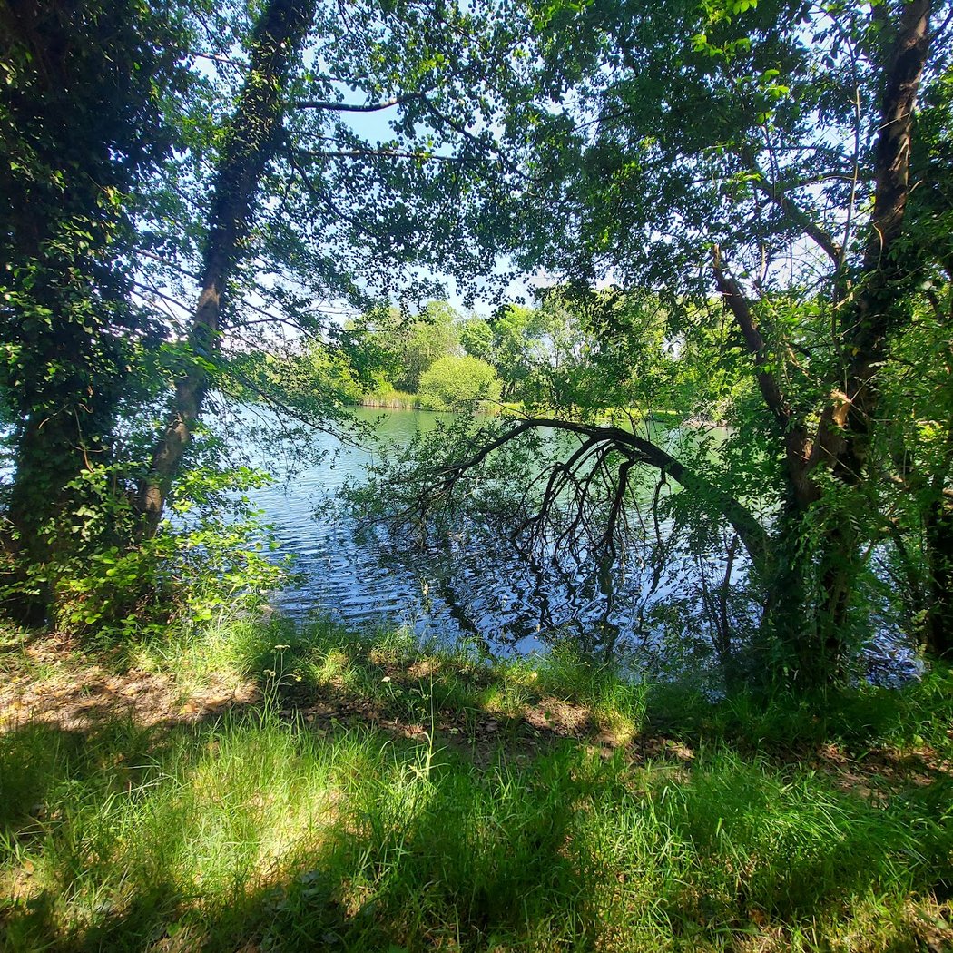 Plan d'eau du Plessis 3