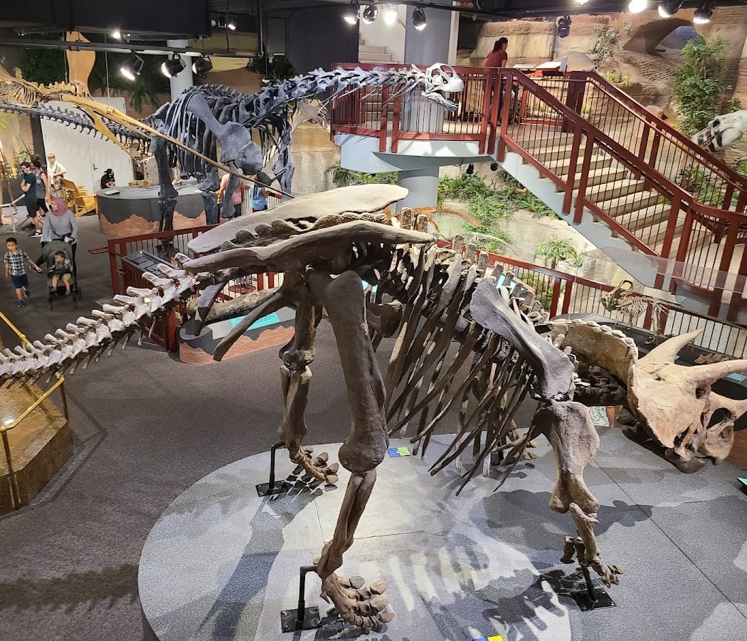 Dinosaurs After Dark 5