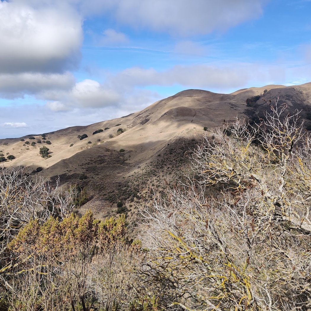 S Rim Trail 2