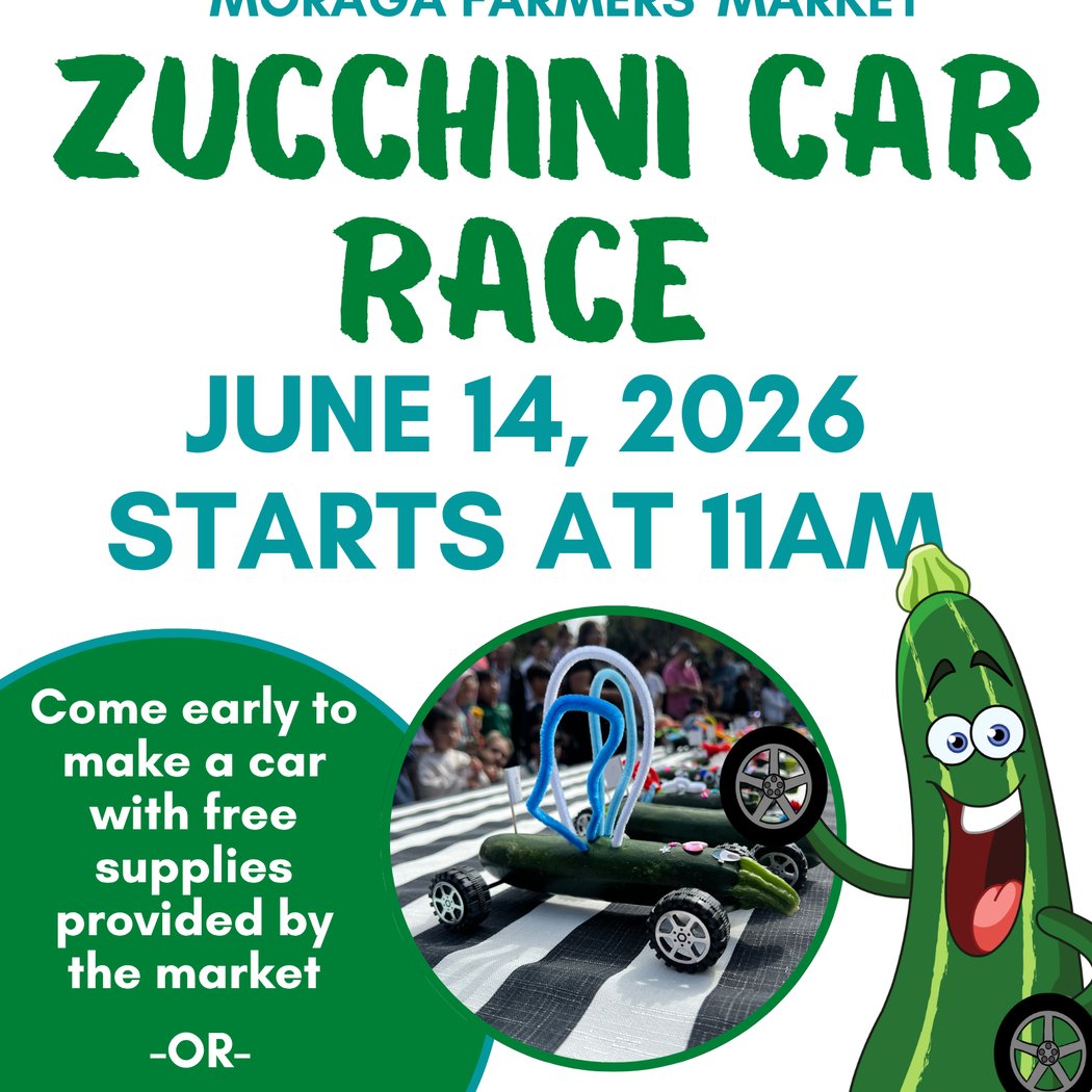 Zucchini Car Race