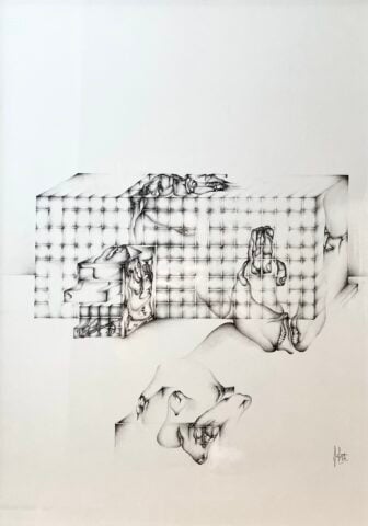 Exposition Fred Deux, suite 1