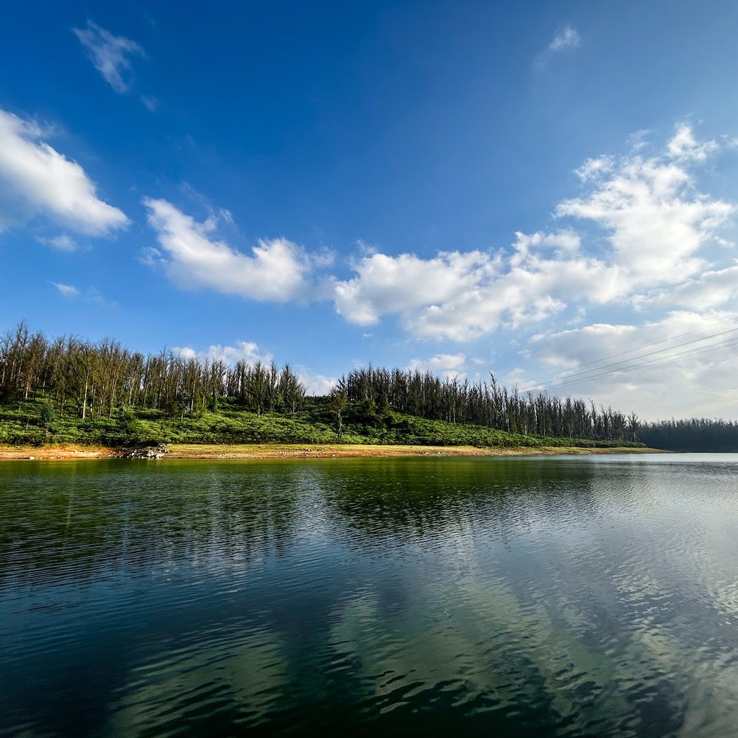 Pine Forest Ooty 4