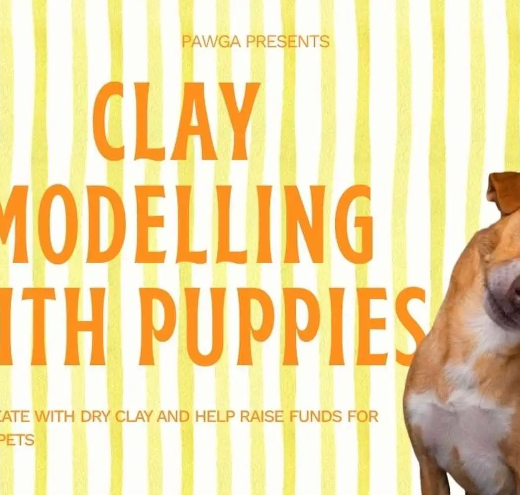 Bangalore Clay Modelling with Puppies 1