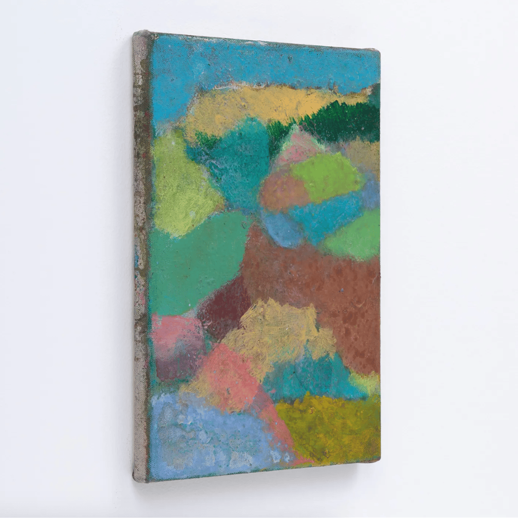 Blaise Rosenthal: A Far Country — Artist Talk in Conversation with José Antonio Maurás