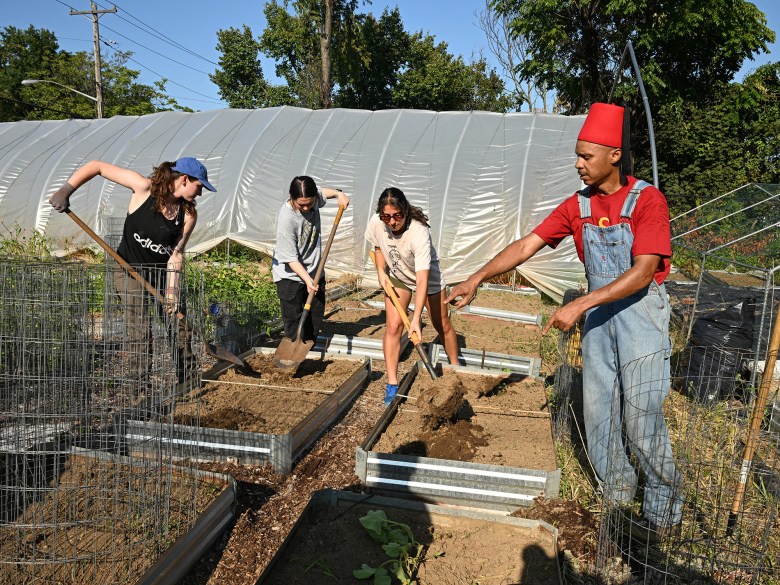 Lawrenceville Organic Community Garden 2