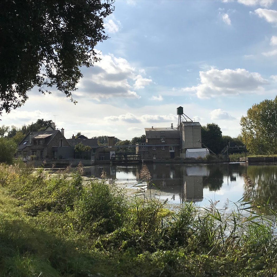 Bord de Vilaine 2