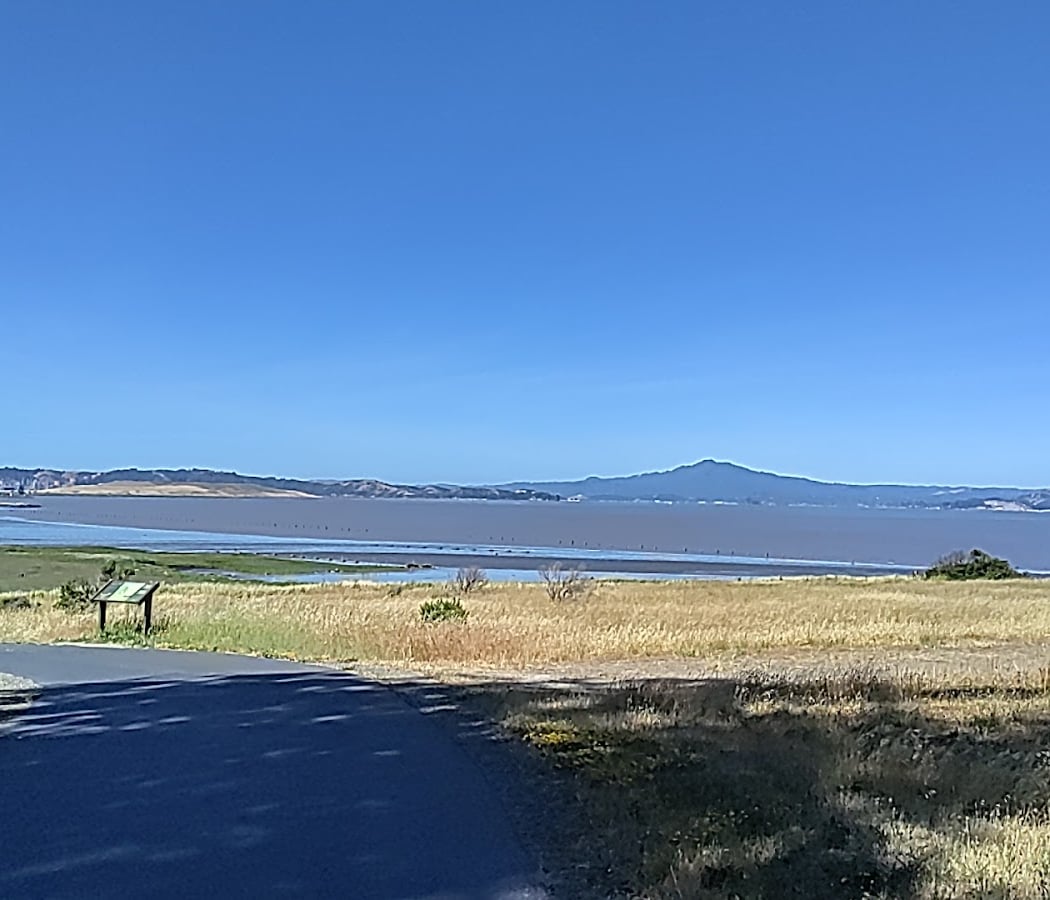 Point Pinole Regional Shoreline 3